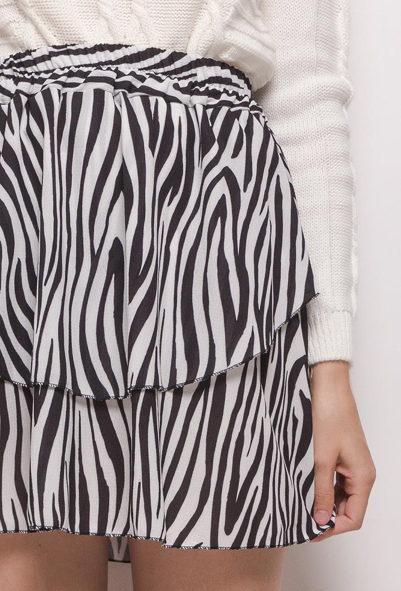 ROK Zebra