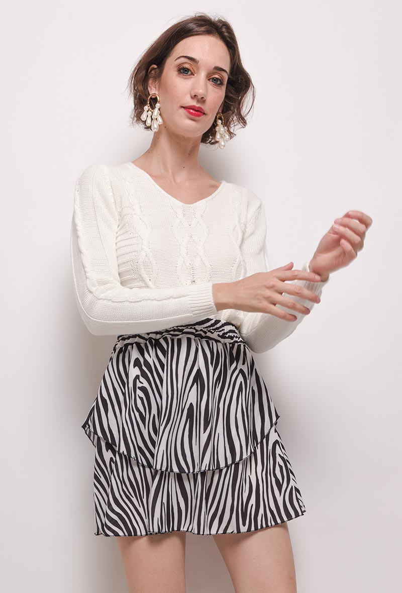 ROK Zebra